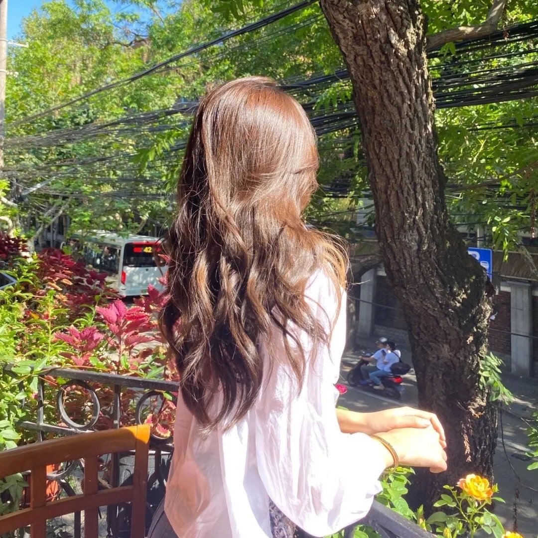 燕尾蝶
