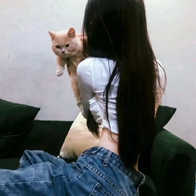 热血冰球梦